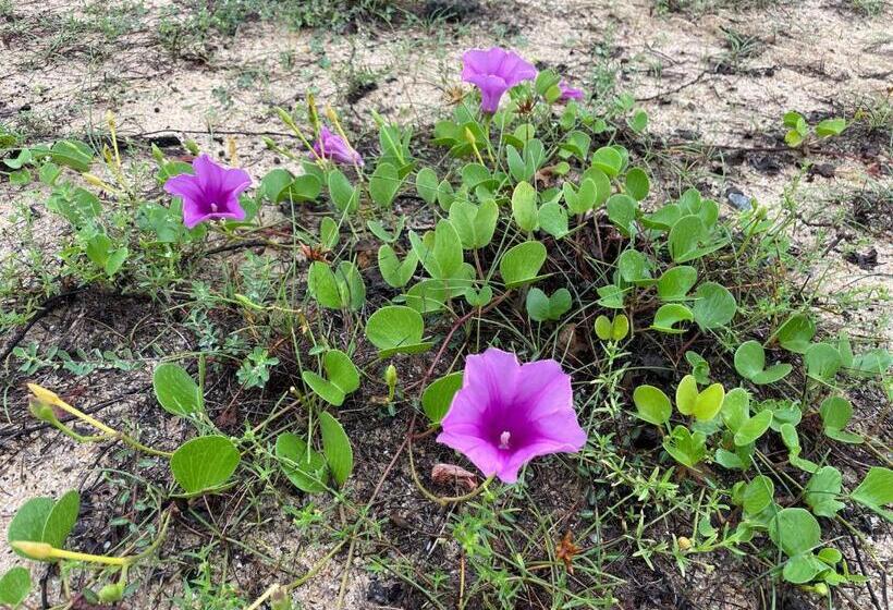 Hotell Neithal Batticaloa
