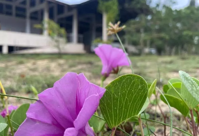 Hôtel Neithal Batticaloa