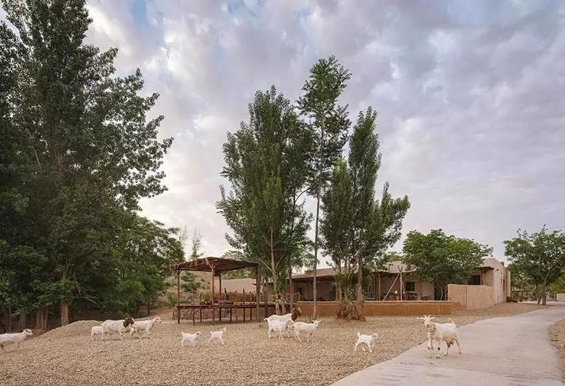 ホテル South Zhongwei Resort