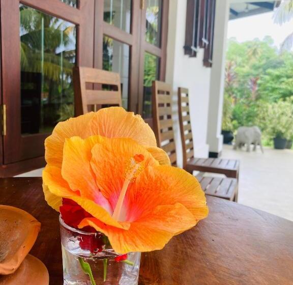 Majatalo Dream House