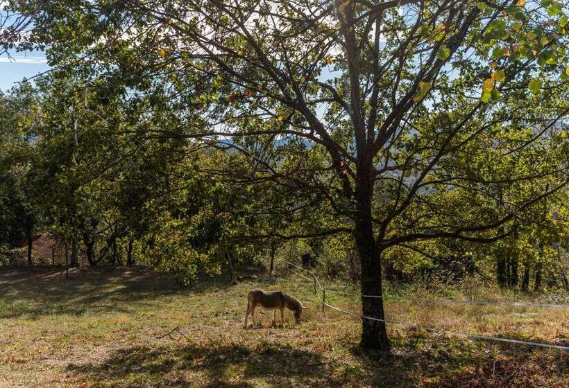 פנסיון Suite Rosas