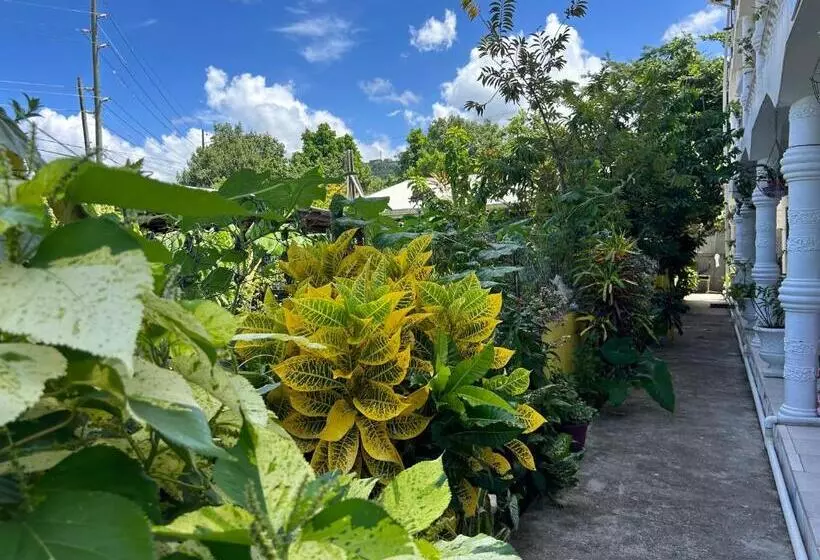 پانسیون Tamernique Apartments