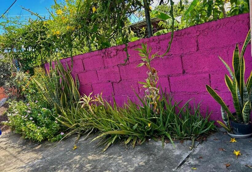 پانسیون Tamernique Apartments