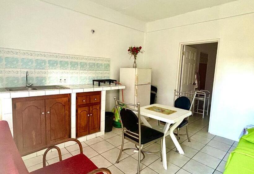 پانسیون Tamernique Apartments