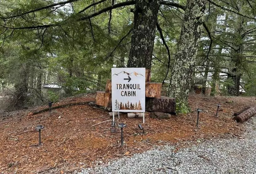 ペンション Tranquil Mountain Refuge Cabin In Santa Cruz