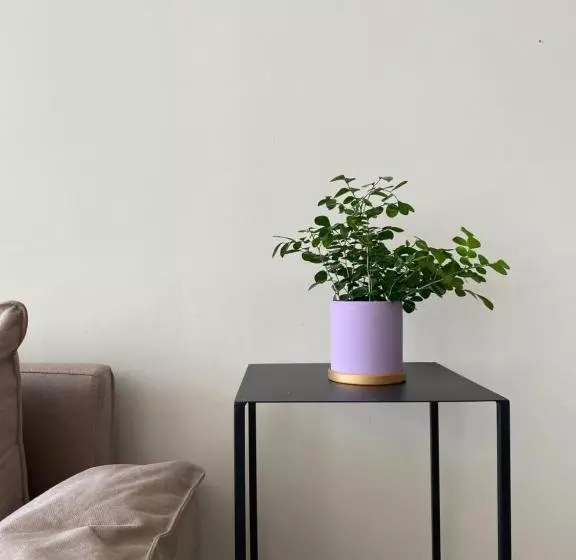 Pomelo Hostel Xingping