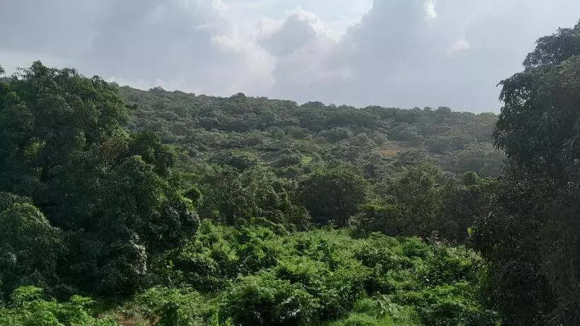 Lomakeskus The Siddhant Lodge