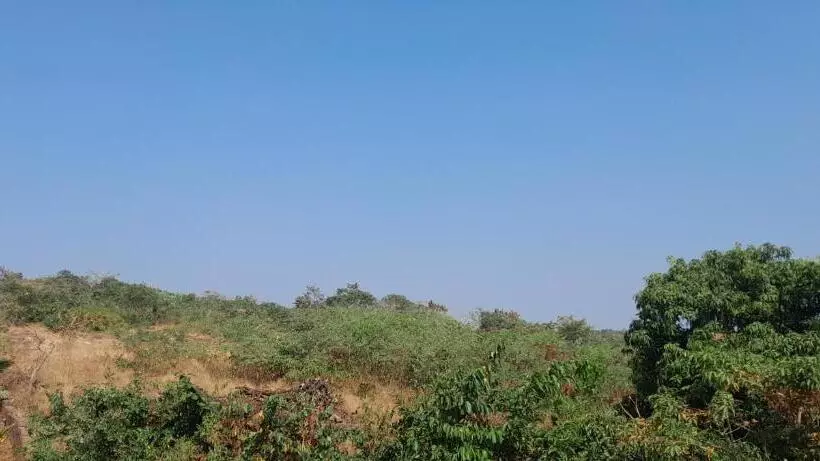 Lomakeskus The Siddhant Lodge