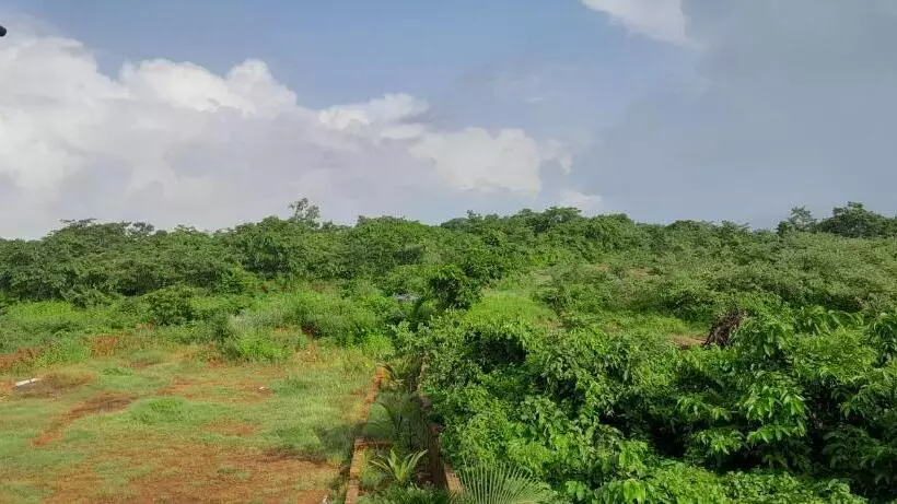 Lomakeskus The Siddhant Lodge