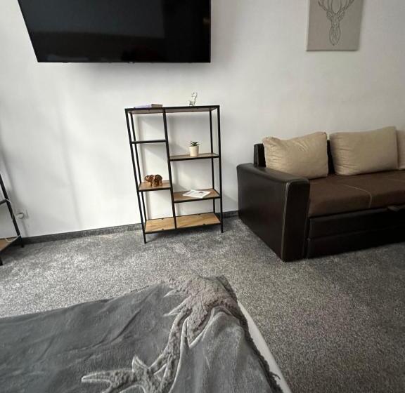 апартхотел флора 213б