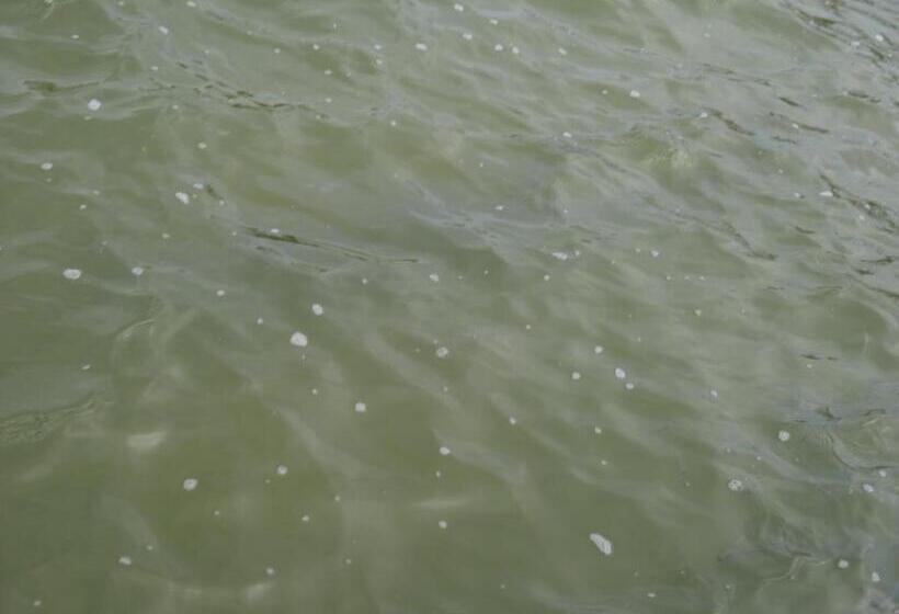 הוסטל Pousada Yhwh