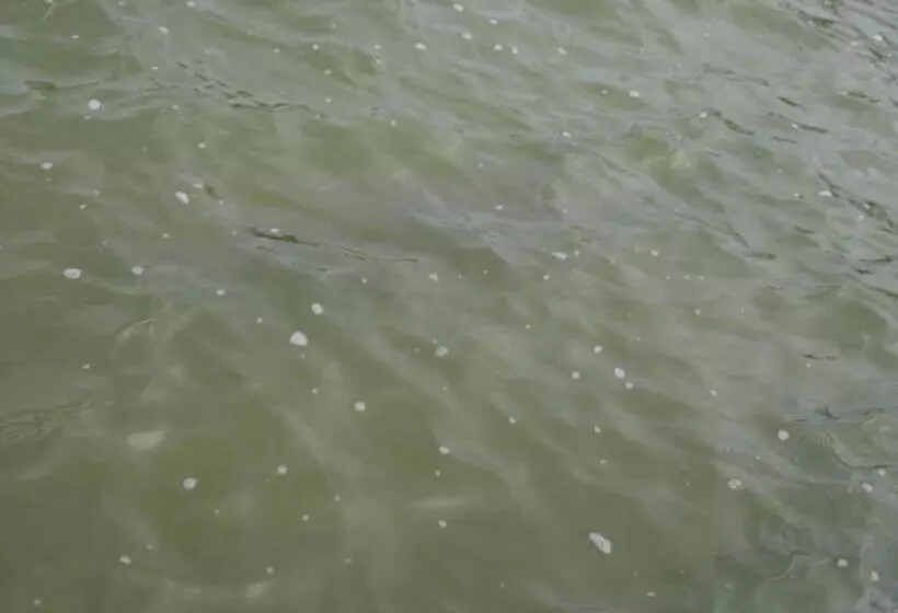 Retkeilymaja Pousada Yhwh