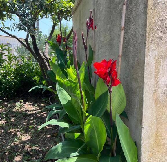 Aamiaismajoitus (B&B) Casa Di Mirto