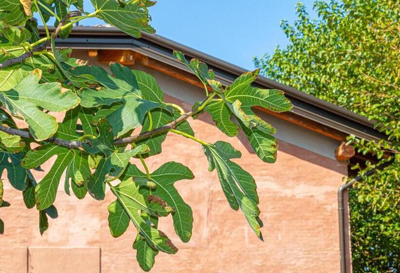 Corte Barattina Antica Dimora Tra Campagna E Città