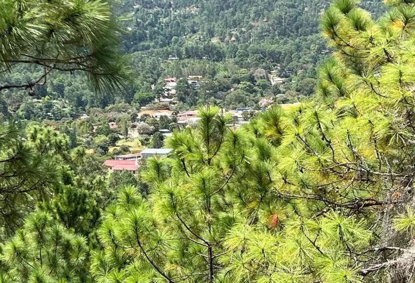 هتل Aoki Valle De ángeles