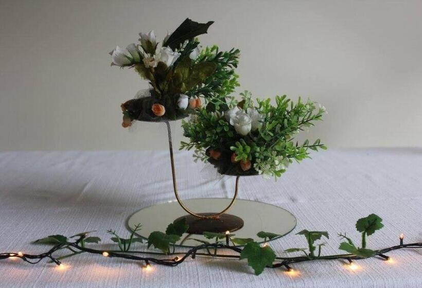 فنادق الكبسولة Pousada Mineira