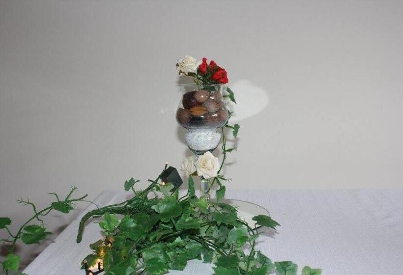 فنادق الكبسولة Pousada Mineira