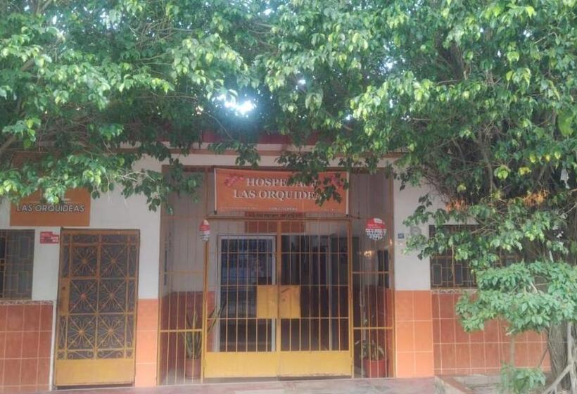 Pension Las Orquideas Hospedaje