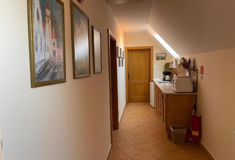 פנסיון Penzion Olga Hajasova