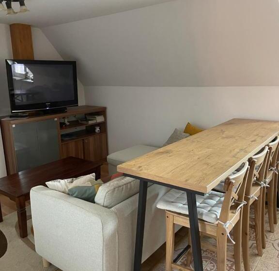 פנסיון Penzion Olga Hajasova