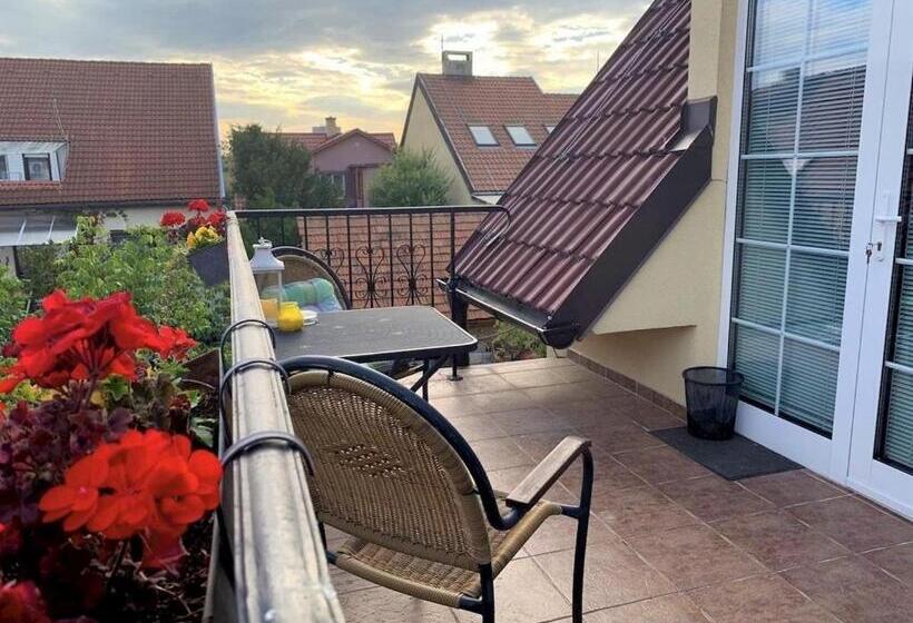 פנסיון Penzion Olga Hajasova