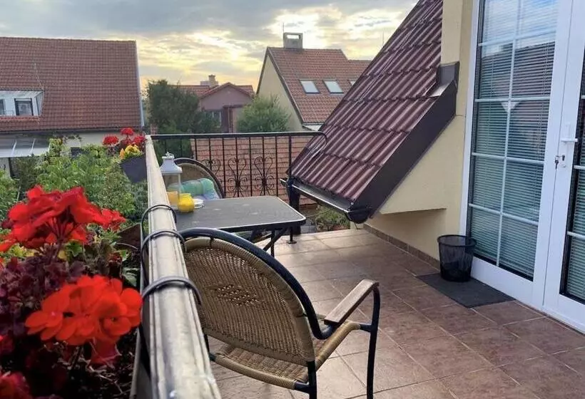 Majatalo Penzion Olga Hajasova