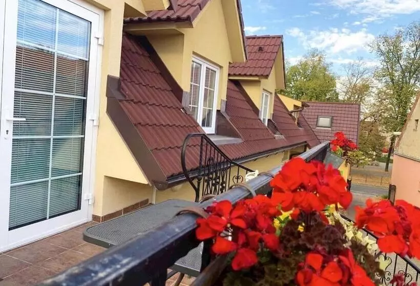 Majatalo Penzion Olga Hajasova