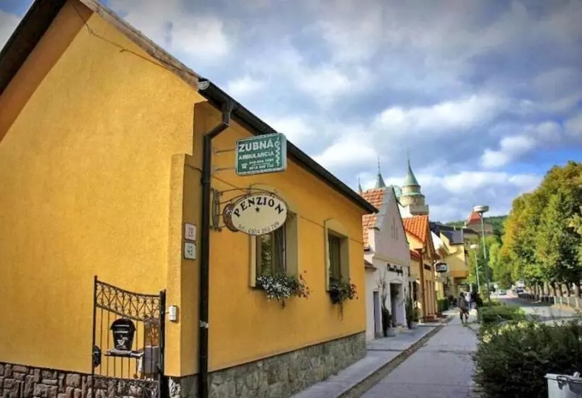 Majatalo Penzion Olga Hajasova