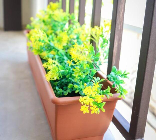 پانسیون Room In Apartment   Pr Pvt Rm 5 Qn Bed Gated Comm Easy Parking