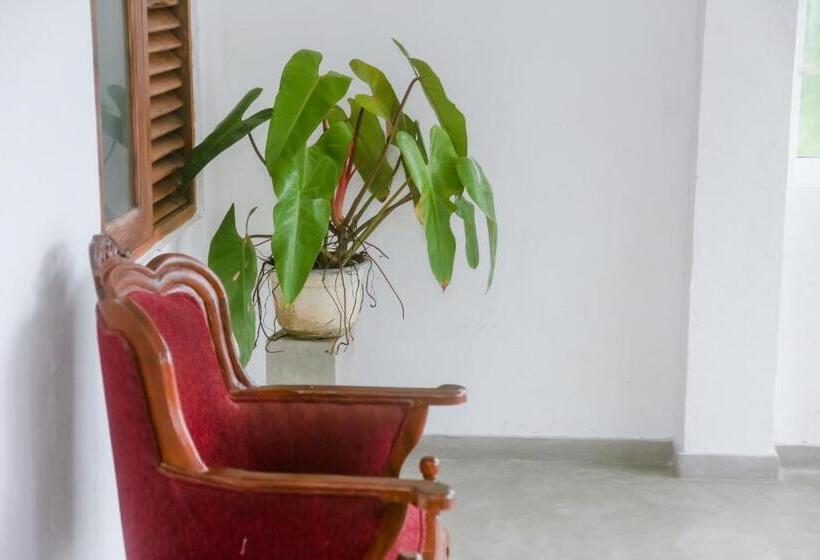 St Kilda Hotel & Restaurant