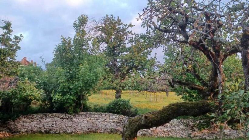 Bed and Breakfast Le Verger De Massilly