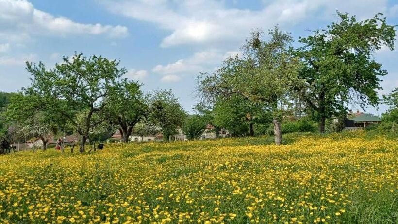 Bed and Breakfast Le Verger De Massilly