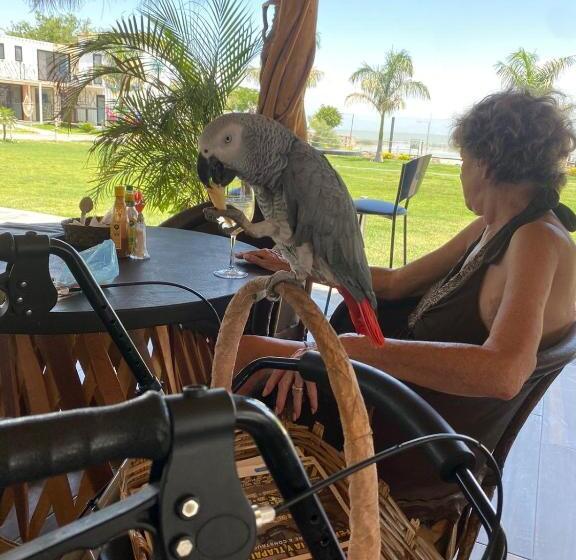 Szálloda Punta Mirasol