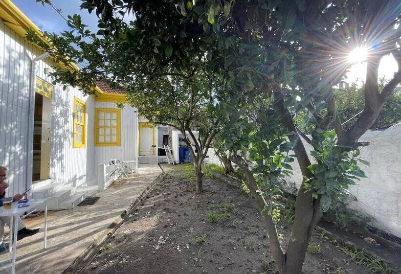 Owls Hostel Ildefonso