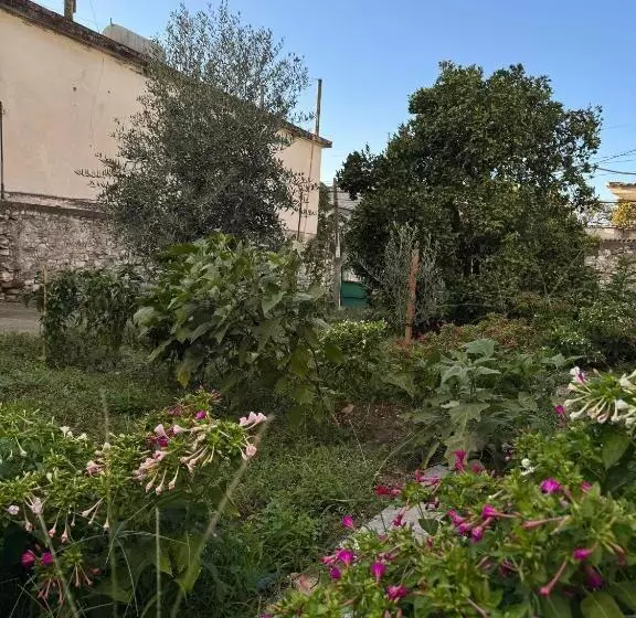 پانسیون Ardjon House