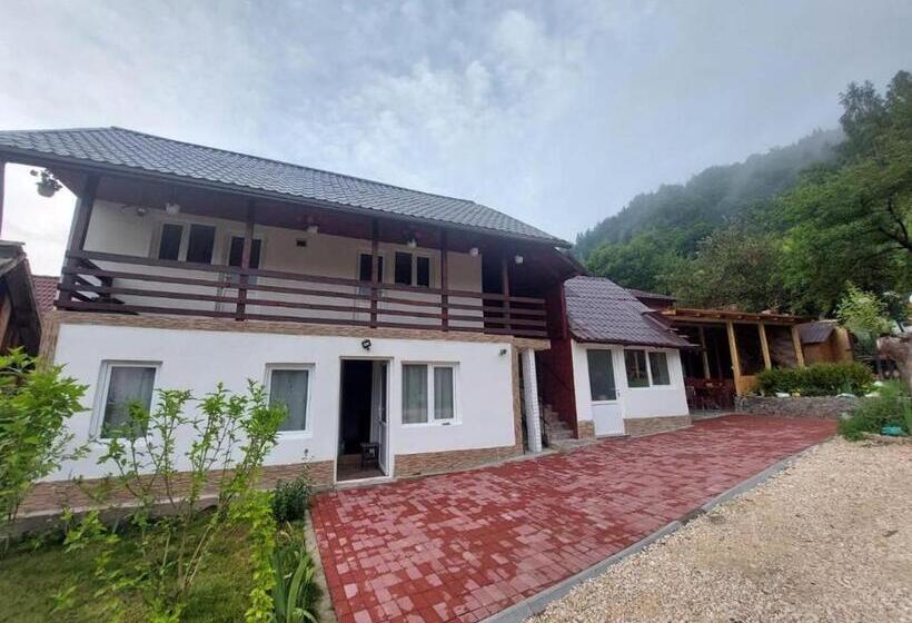 펜션 Casa Alexandra Junior