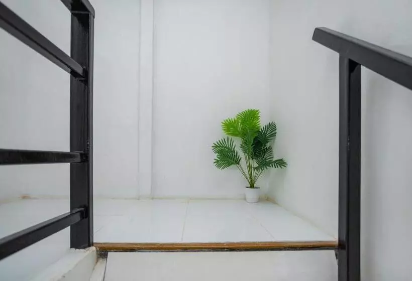 The Bright House, Koh Phi Phi