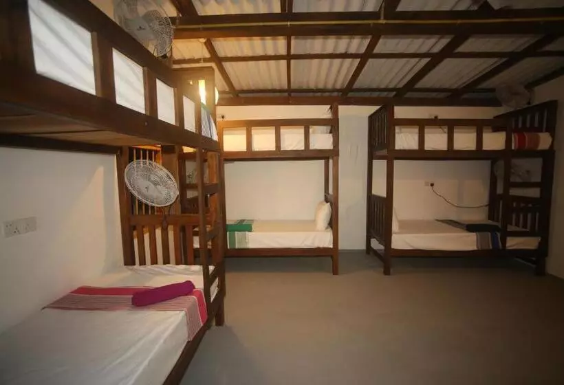 Thomas Hostel