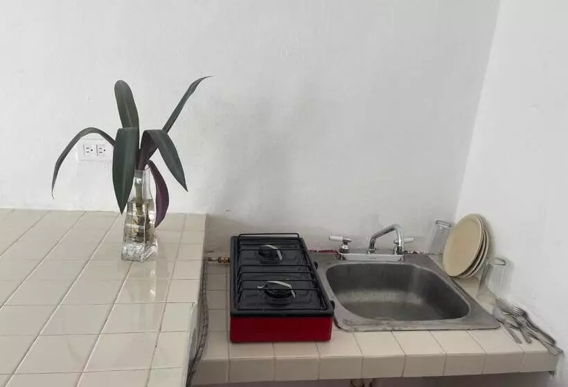 Apartamentos Cupules