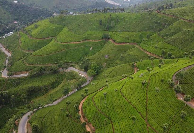 Bed and Breakfast Casa De Selas   Deluxe Rooms