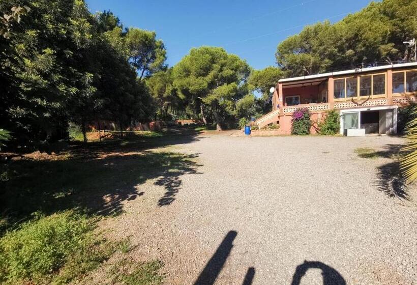 تختخواب و صبحانه Relais Pollo Loco