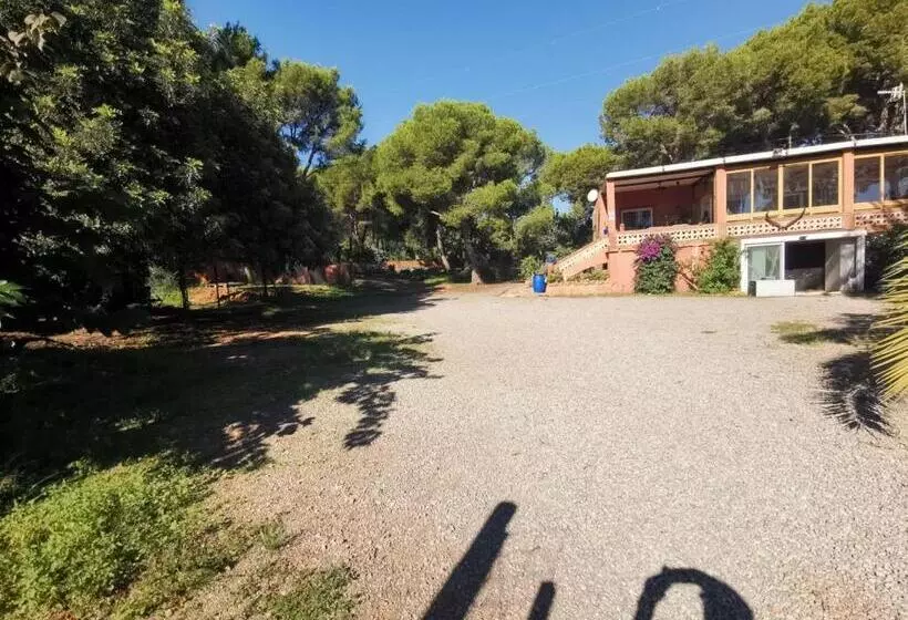 ベッドアンドブレックファースト Relais Pollo Loco