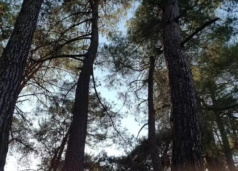 هتل Gökbük Sereni̇ty