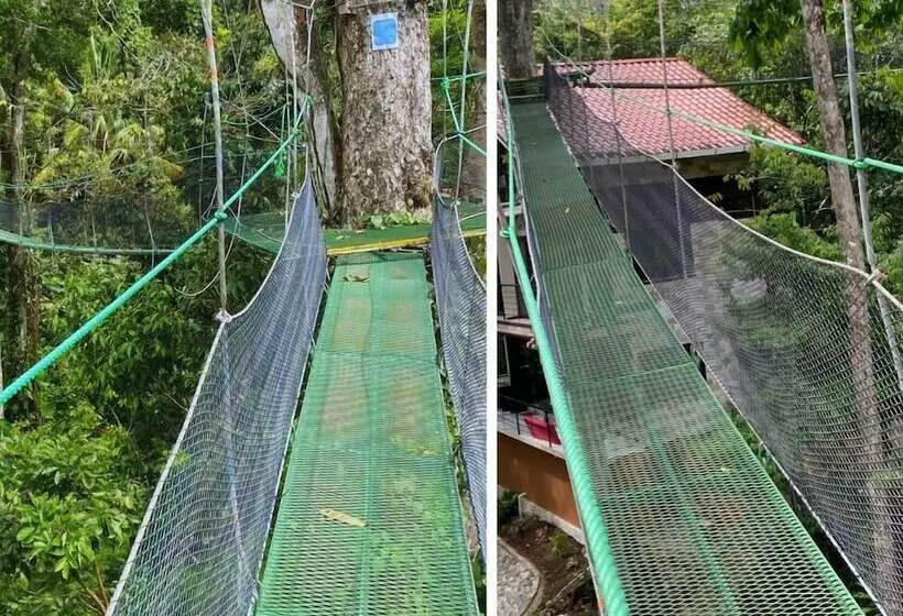 هتل Mountain Top Park