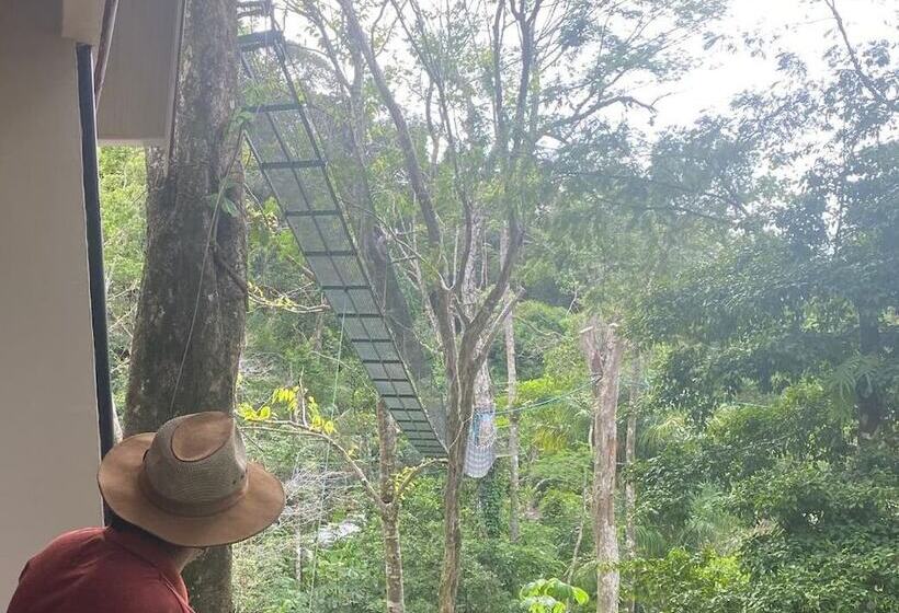 هتل Mountain Top Park