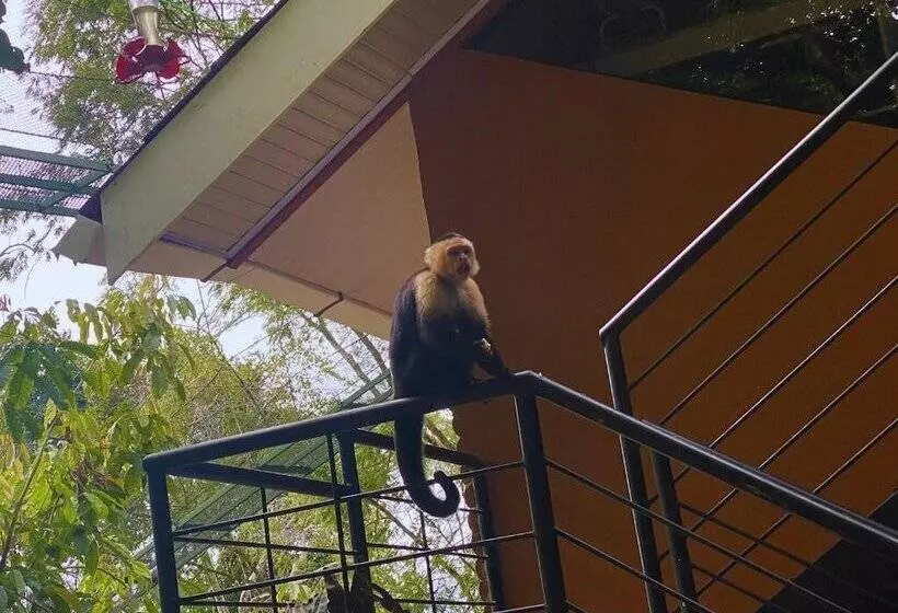 هتل Mountain Top Park