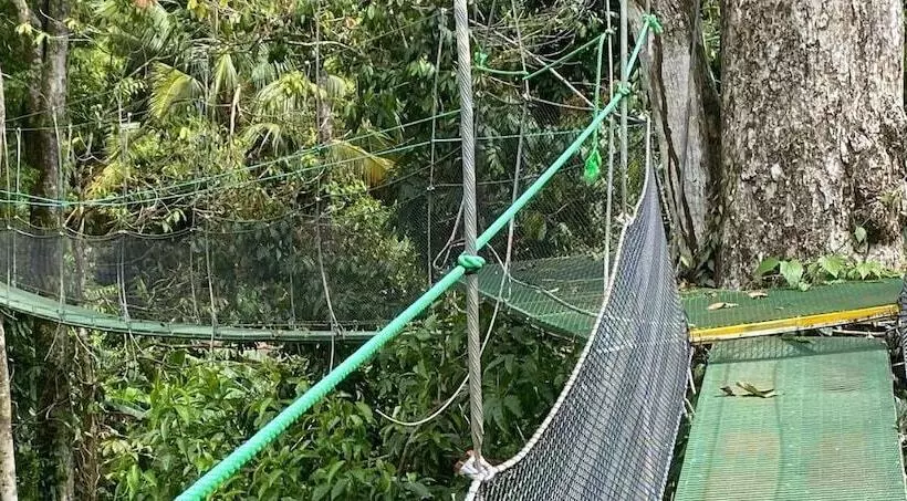 هتل Mountain Top Park