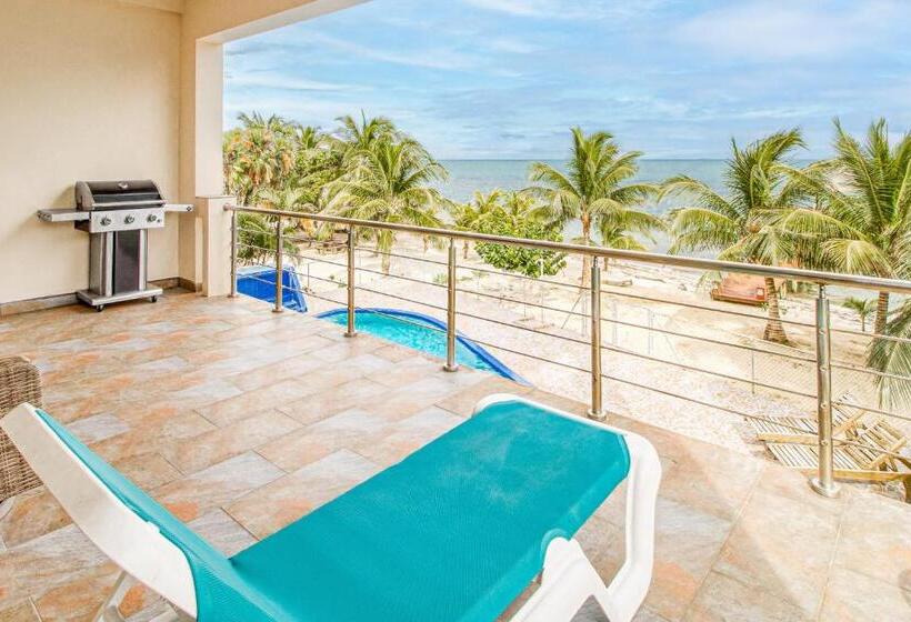 فندق Parrotfish @ Les Caraibes