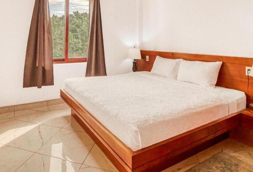 فندق Parrotfish @ Les Caraibes