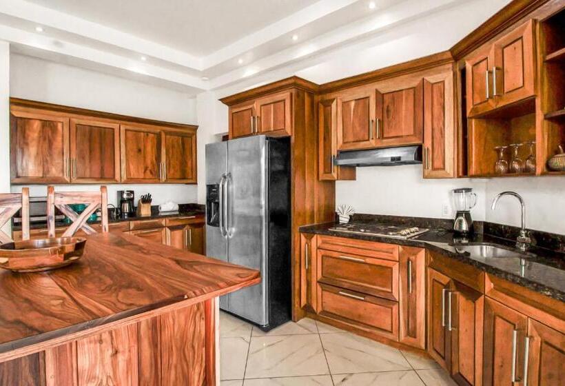 فندق Parrotfish @ Les Caraibes